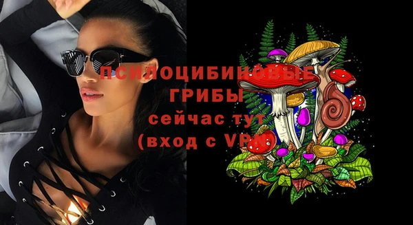 бошки Алзамай