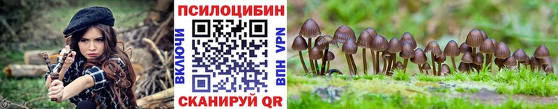 Галлюциногенные грибы прущие грибы  Смоленск 
