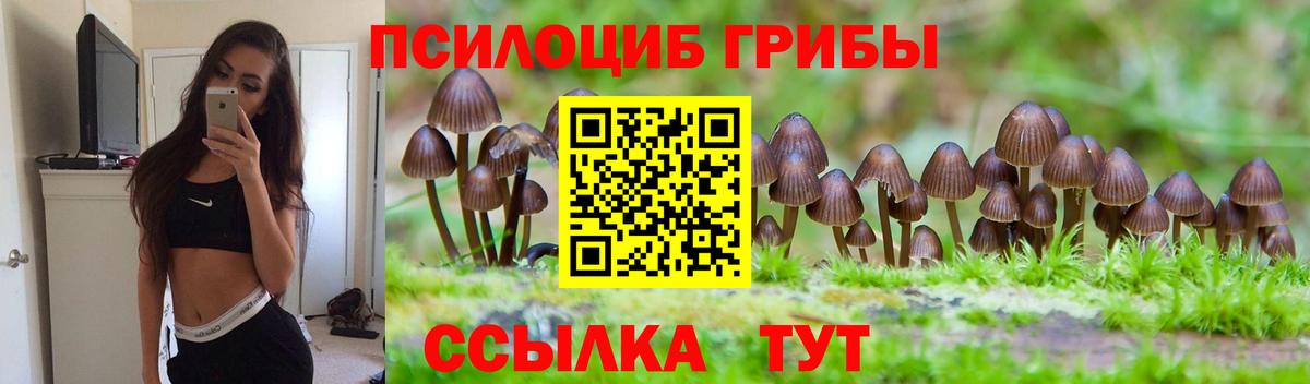 дарнет шоп  Псилоцибиновые грибы Psilocybe  Вход с VPN  Смоленск 